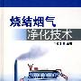 烧结烟气净化技术
