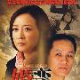 婚变：现代社会情感悬疑剧（国语发音 中文字幕完整版）（9DVD）