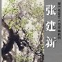 当代名家艺术成就展系列-张建新