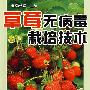 草莓无病毒栽培技术