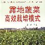 露地蔬菜高效栽培模式