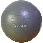 青鸟健身球-新款防暴 银灰色 配气筒 直径65cm