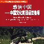 感悟中国：中国文化英语阅读教程(综合应用能力选修课系列教材)