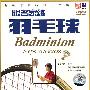 跟名家练羽毛球(DVD)