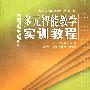 多元智能教学实训教程（新课程教学技能发展丛书）