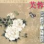中国名花工笔线描---芙蓉