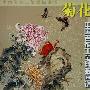 中国名花工笔线描---菊花