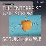 SCRUM与企业管理