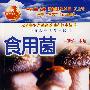 食用菌