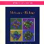 Molecular Biology. 2nd ed.大分子生物学