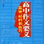 高中作文要义：思维、材料和技巧/大夏书系