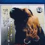 男儿无罪（DVD）国语发音 中英字幕