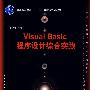 Visual Basic程序设计综合实践（21世纪计算机科学与技术实践型教程）