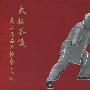 吴式太极拳丛书：太极本仪·吴式精简太极拳十六式（DVD）