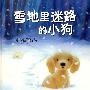 雪地里迷路的小狗
