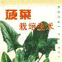 菠菜栽培技术