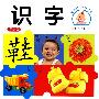 亮眼睛·学习丛书:识字(提高版)