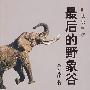 最后的野象谷