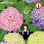 新人文读本(第2版).初中B.春水卷