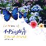 不朽的声音(白领英语轻悦读系列)(含光盘)