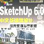 SketchUp 6.0中文版建筑设计经典案例指导教程(含1CD)