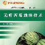无籽西瓜栽培技术