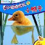 看小动物成长3:小鸭子