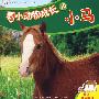 看小动物成长10：小马