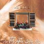 真爱约会[1/1]