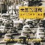 美国的迷惘:重寻托克维尔的足迹
