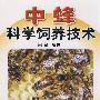中蜂科学饲养技术
