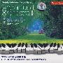 减压音乐：绿钢琴（CD）