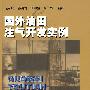 国外油田注气开发实例