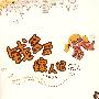 钱多多嫁人记