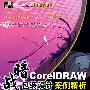 暗战——CoreIDRAW包装设计案例精析(附光盘)