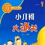 小升初大通关 数学
