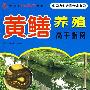 黄鳝养殖高手指南