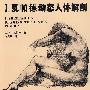 J·夏帕德动态人体解剖