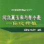 河北夏玉米与冬小麦一体化种植