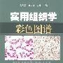实用组织学彩色图谱