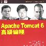 Apache Tomcat 6高级编程