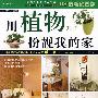 时尚家居馆用植物扮靓我的家