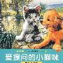 爱提问的小猫咪：给我讲故事系列第一辑8（美绘版）