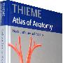 颈部与内脏解剖图谱Thieme Atlas of Anatomy. Neck an Internal Organs by Udo Schumacher (Hardcover - Jun 30, 2006)