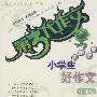 第3代作文 小魔法师-小学生好作文:中年级