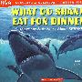 鲨鱼吃什么 WHAT DO SHARKS EAT FOR D