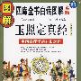 图解玉照定真经：中国命理学的开山之作（四库全书白话图解术数）白话祥解图解本