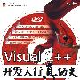 Visual C++开发入行真功夫(含DVD光盘1张)