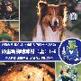 野生动物地球村（上）1-6（6VCD）