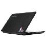 联想（lenovo)IdeaPad Y450A-TSI(NBA特色版)笔记本电脑(T6600/2G/320G/512独显/蓝牙/摄像头 ）